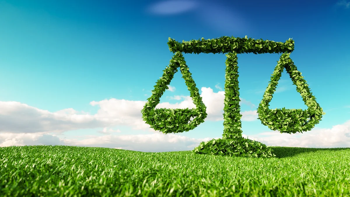 O Papel do Direito Agrário na Regularização Fundiária no Brasil